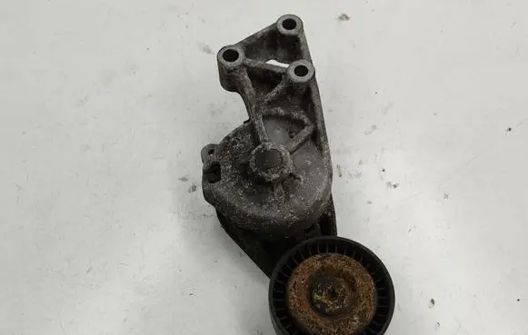 Seat Alhambra (Mk1) Generator/alternator belt tensioner 038903315