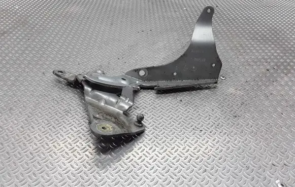 Renault Espace - Grand espace IV Engine bonnet/hood hinges 8200011692