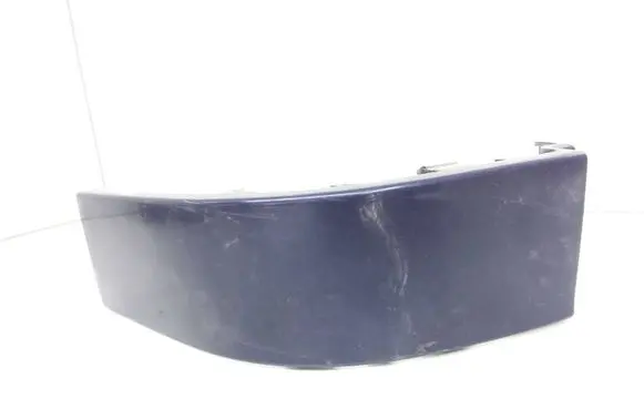 Rear/tail light trim molding
