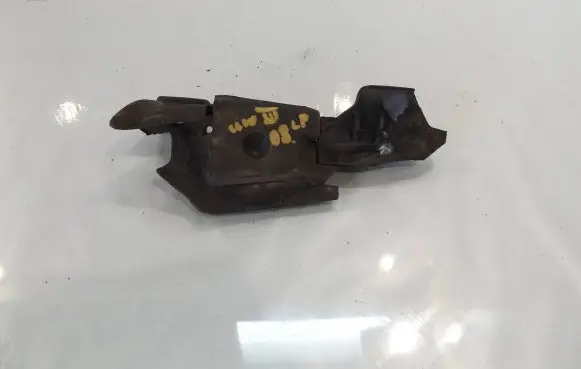Renault Clio III Front door upper hinge