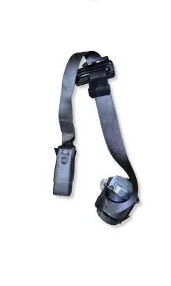 Dodge Charger Middle seatbelt (rear) P6KE131X9AC