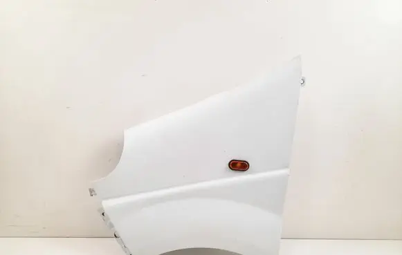 Renault Trafic II (X83) Fender
