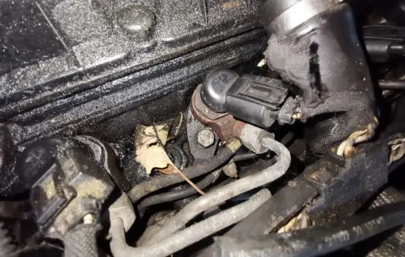 Citroen Berlingo Fuel injector