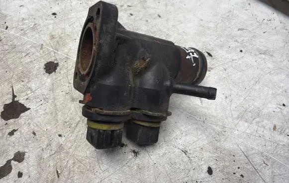 Volkswagen Sharan Engine coolant pipe/hose 037121133F