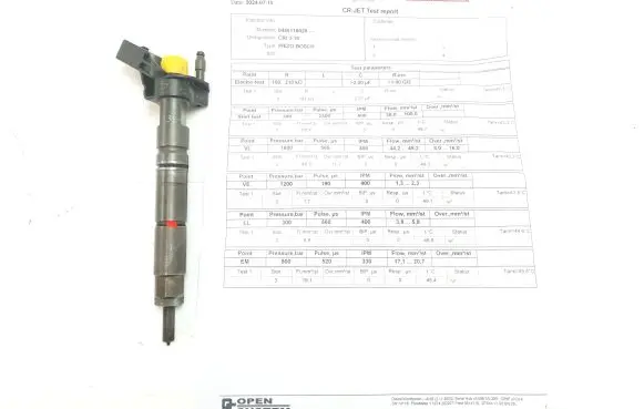 Mercedes-Benz Sprinter W906 Fuel injector 0445116028 A6420701287