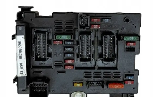 Peugeot 206 Fuse module 9650664080