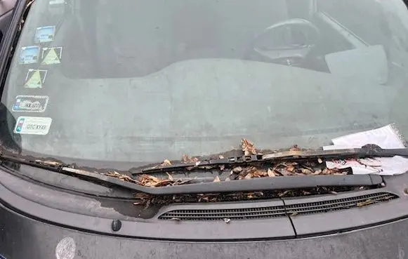 Toyota Previa (XR30, XR40) II Front wiper blade arm 