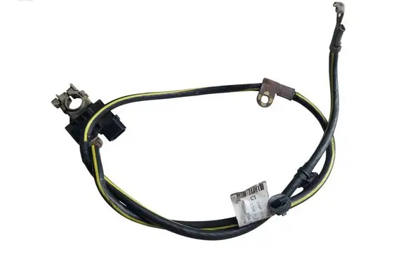 Nissan Leaf I (ZE0) Negative earth cable (battery) 240803NL0A 240803NL0A2