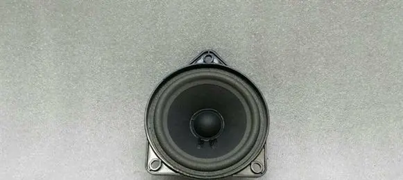 Porsche 718 Cayman 982 982c Front door speaker 7PP035415J