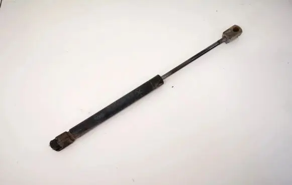 Tailgate/trunk strut/damper