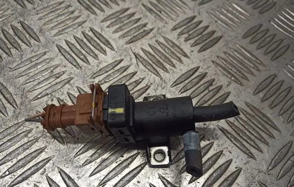 Dacia Sandero Valve vacuum 8200762162