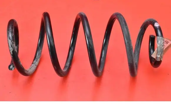 Rear coil spring