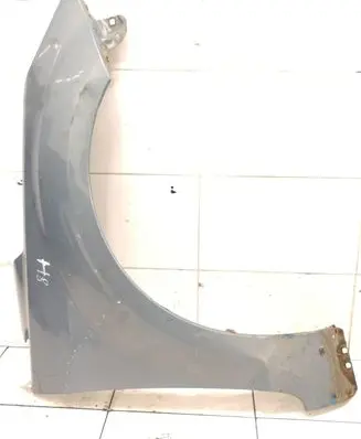 Fender