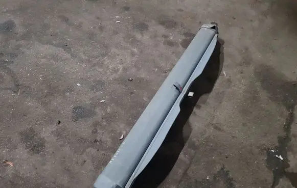 Mercedes-Benz C W202 Parcel shelf load cover 