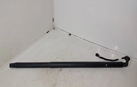 Tailgate/trunk strut/damper