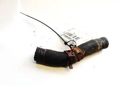 Ford Focus Engine coolant pipe/hose