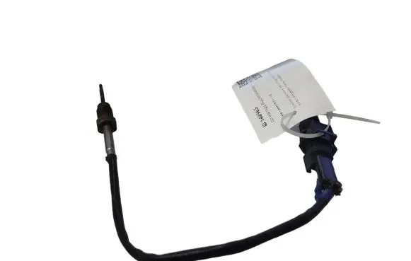 KIA Carens II Exhaust gas temperature sensor