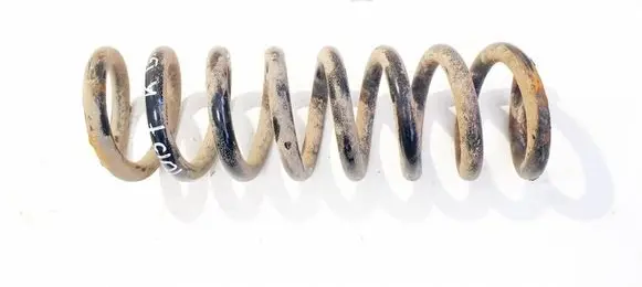 Rear coil spring