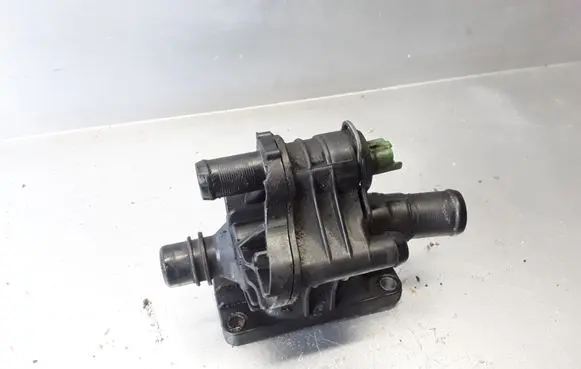 Thermostat/thermostat housing