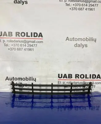 Skoda Octavia Mk2 (1Z) Front bumper lower grill 1Z0853677
