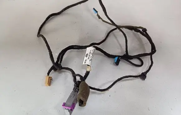 Volkswagen Golf V Front door wiring loom 1K0971557N