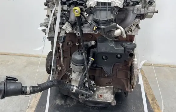 Ford Focus Engine UFDB