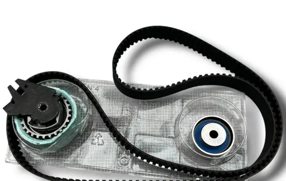 Alfa Romeo 147 Timing belt 1623102980