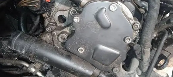 Seat Toledo III (5P) Vacuum pump