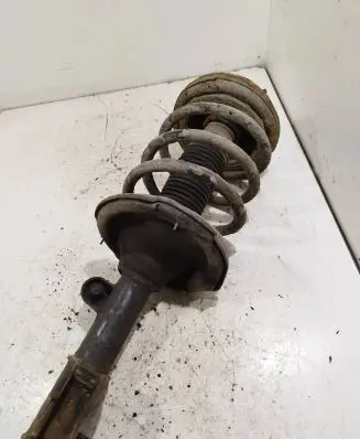 Hyundai Santa Fe Front shock absorber with coil spring