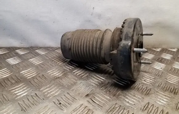 Chrysler 300 - 300C Coil spring mount 04895412AC