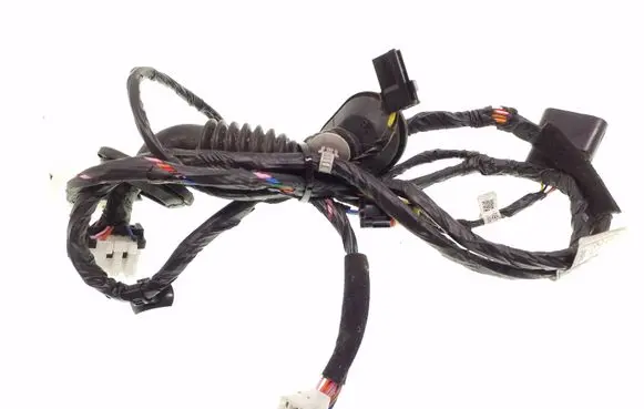 Rear door wiring loom