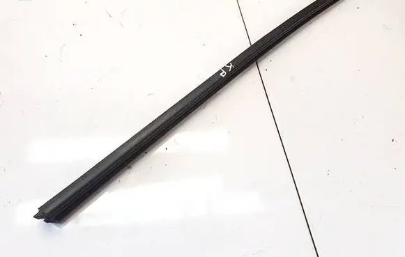 Peugeot 406 Front door glass trim molding 