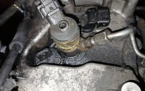 Chevrolet Captiva Fuel injector 0445110270