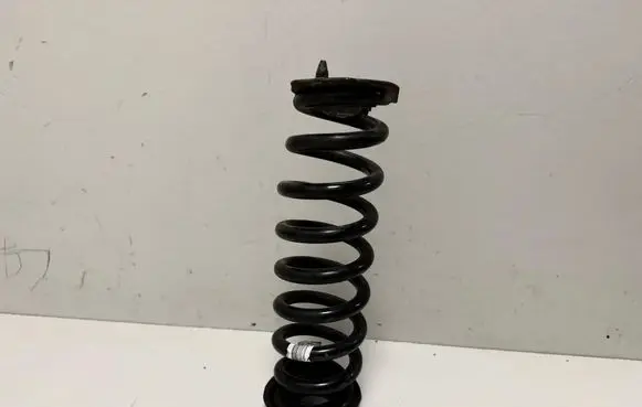 BMW 3 GT F34 Rear coil spring 6851933