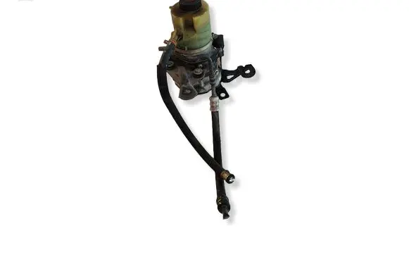 Renault Trafic III (X82) Power steering pump 491100616R
