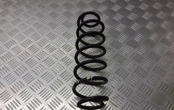 Volkswagen Polo IV 9N3 Rear coil spring BRAK