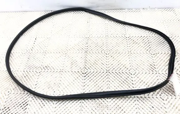 KIA Ceed Rubber seal front door (on door) 