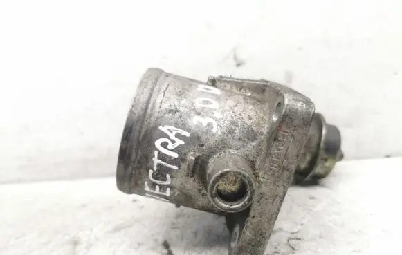 Throttle body valve