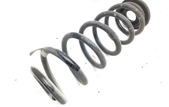 Volkswagen Tiguan Allspace Rear coil spring 5QN511115