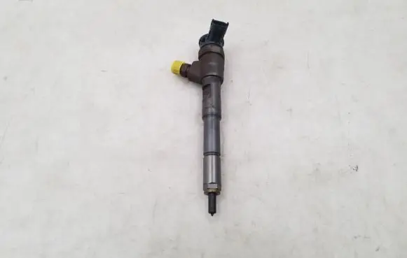 Dacia Dokker Fuel injector H8201108033