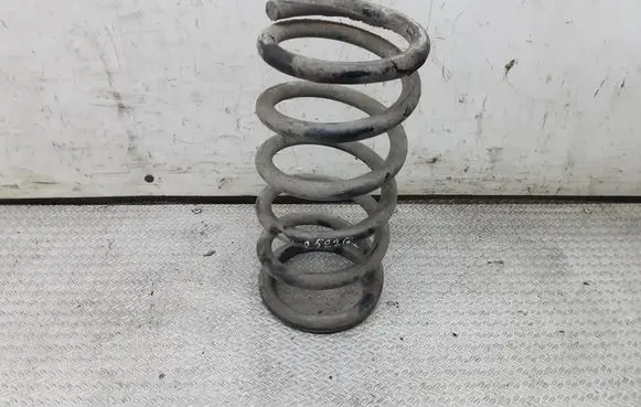 Hyundai Santa Fe Rear coil spring