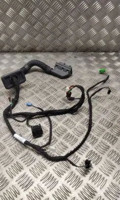 Mercedes-Benz S C217 Front door wiring loom A2175402312
