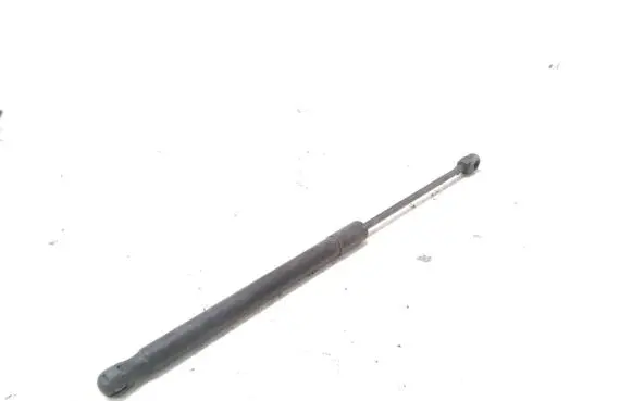Tailgate strut