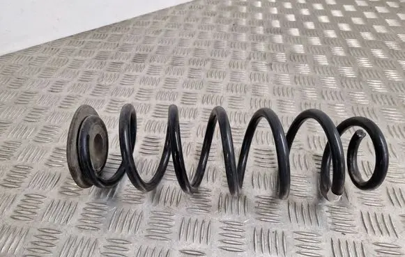 Rear coil spring