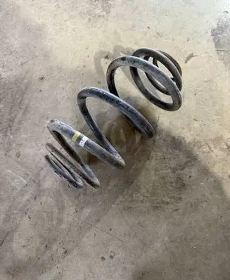 Rear coil spring