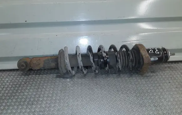 Jeep Patriot Rear shock absorber with coil spring 
