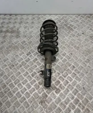 Citroen C3 Front shock absorber with coil spring 9811371180 120210852 22316158