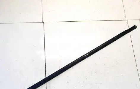 Honda Accord Front door glass trim molding 