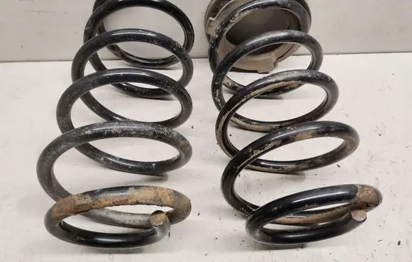 Rear coil spring
