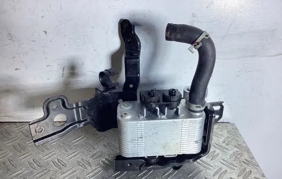 Lexus NX Optional radiator 